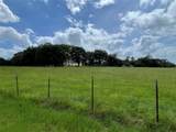 1666 Us Highway 84 - Photo 5