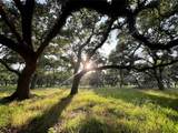 0 Brazos River Rd Cr 400 - Photo 3
