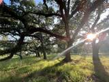 0 Brazos River Rd Cr 400 - Photo 4