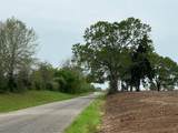 Lot #1 Tx-105 - Photo 6