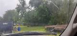 921 Davis Road - Photo 6