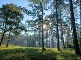 124 Branding Iron Road - Photo 6