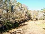 TBD Cr 2222 Cobb Mill Road - Photo 4