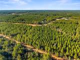 12684 Oak Barrel Road - Photo 8