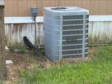 51 Burke Ct - Photo 23