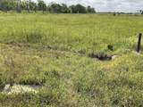 479 Brahman Trail - Photo 2