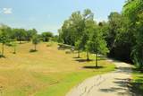 15807 Fleetwood Oaks Drive - Photo 38