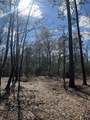 12931 Hickory Branch Lane - Photo 4