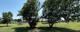 1105 W Cleveland Avenue - Photo 2