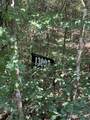 13035 Hollybrook Drive - Photo 4