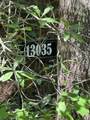 13035 Hollybrook Drive - Photo 5