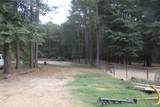 12240 High Fire Road - Photo 11