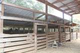 12240 High Fire Road - Photo 12