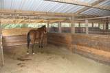 12240 High Fire Road - Photo 14