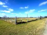 303 Pinafore Court - Photo 14