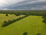 19046 County Road 124 - Photo 11