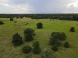 19046 County Road 124 - Photo 9