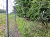 00 Wilderness Road - Photo 12