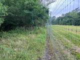 00 Wilderness Road - Photo 13