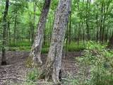 00 Wilderness Road - Photo 14