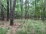 00 Wilderness Road - Photo 15