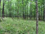 00 Wilderness Road - Photo 16