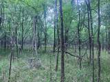 00 Wilderness Road - Photo 3