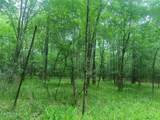 00 Wilderness Road - Photo 4