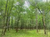 00 Wilderness Road - Photo 5