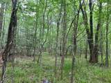 00 Wilderness Road - Photo 8