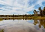 0000 Covey Circle - Photo 5