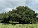 3817 Fm 154 - Photo 12