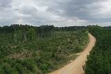 Lot 2 Denning Cr 255 - Photo 5