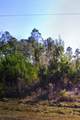 50 County Road 3479A - Photo 2