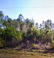 50 County Road 3479A - Photo 3