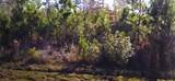 50 County Road 3479A - Photo 4