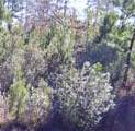 50 County Road 3479A - Photo 5