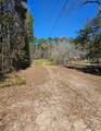 0 Reedwood - Photo 3