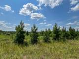 8 Highway 190 - Photo 5
