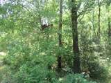 337 Noel - Photo 2