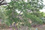 000 Tx-29 Highway - Photo 11