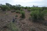 000 Tx-29 Highway - Photo 15