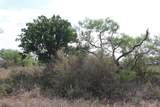 000 Tx-29 Highway - Photo 4