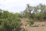 000 Tx-29 Highway - Photo 7