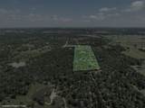 TBD Wildlife Circle - Photo 13