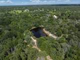 TBD Wildlife Circle - Photo 5