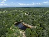 TBD Wildlife Circle - Photo 6