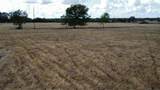 TBD4 Farm To Market Road 532 - Photo 17