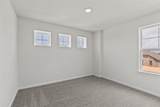 12750 Dina Springs Lane - Photo 13