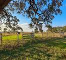 5895 Farek-Loth Road - Photo 7